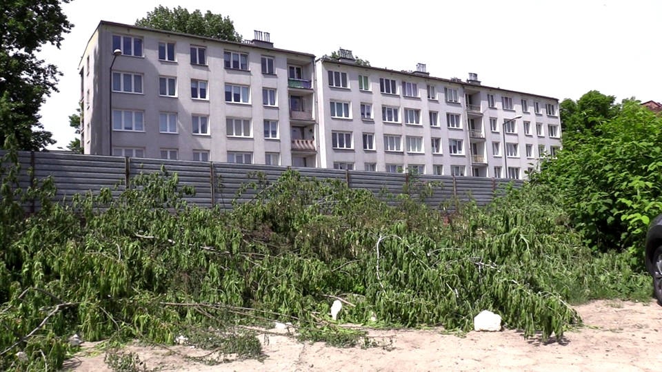 Policja sprawdza czy podczas wycinki drzew pod nowe osiedle w Katowicach zostało złamane prawo