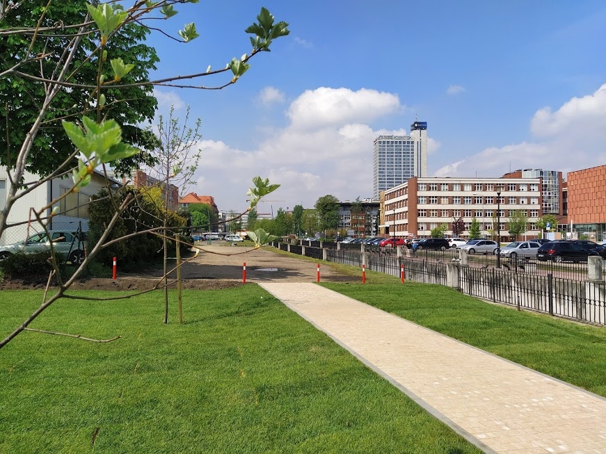 Koniec dzikiego parkingu przy Rawie. Teraz jest tu zielono