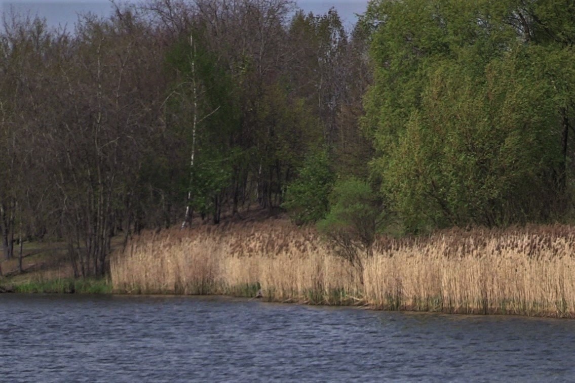 W Dolinie Trzech Stawów zostały znalezione zwłoki