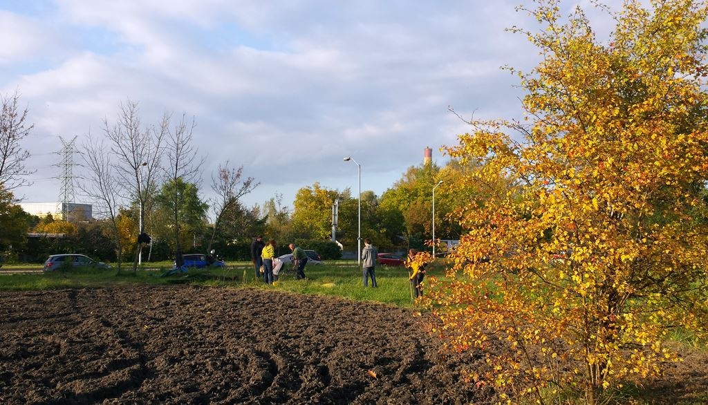Nowy park powstanie na północy Katowic. Ruszyły konsultacje
