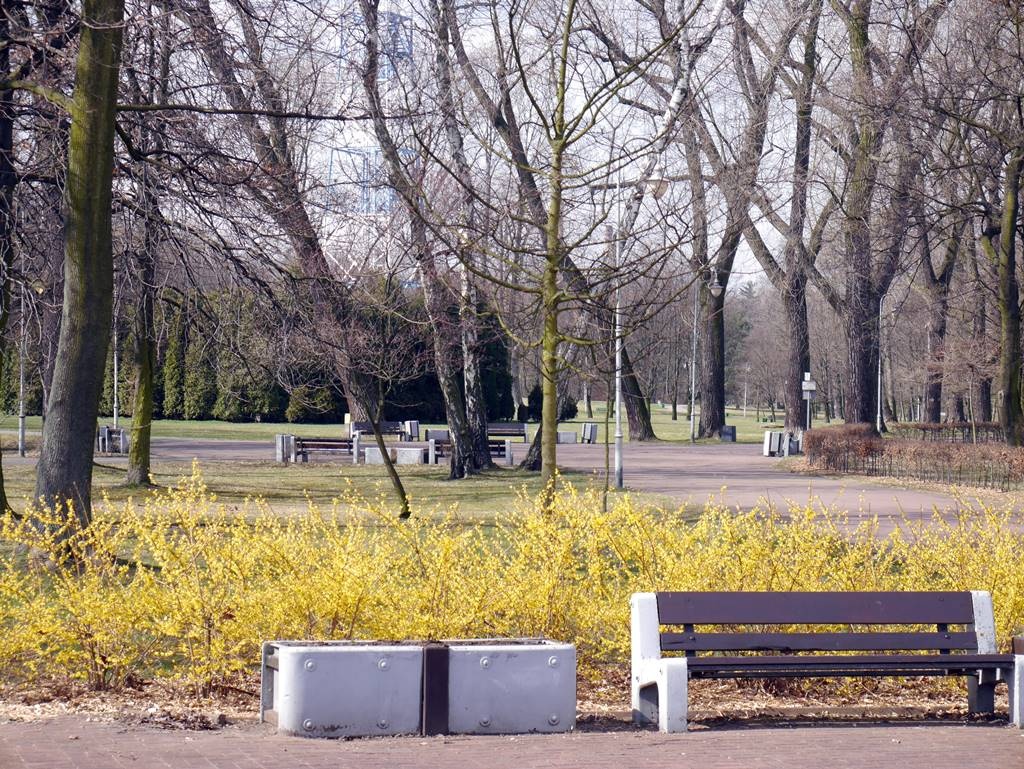 Dzień dobry Katowice. Ruszają konsultacje w sprawie nowego parku