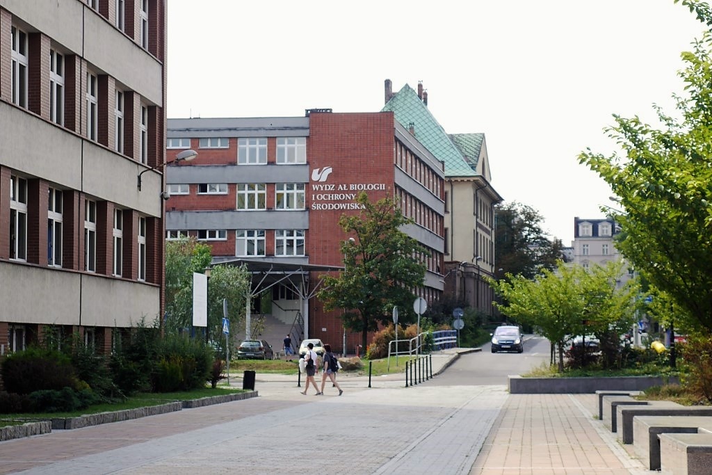 Dzień dobry Katowice. Duże zmiany w funkcjonowaniu uczelni