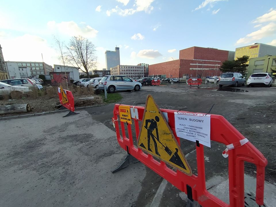 Zieleń zamiast dzikich parkingów przy Rawie
