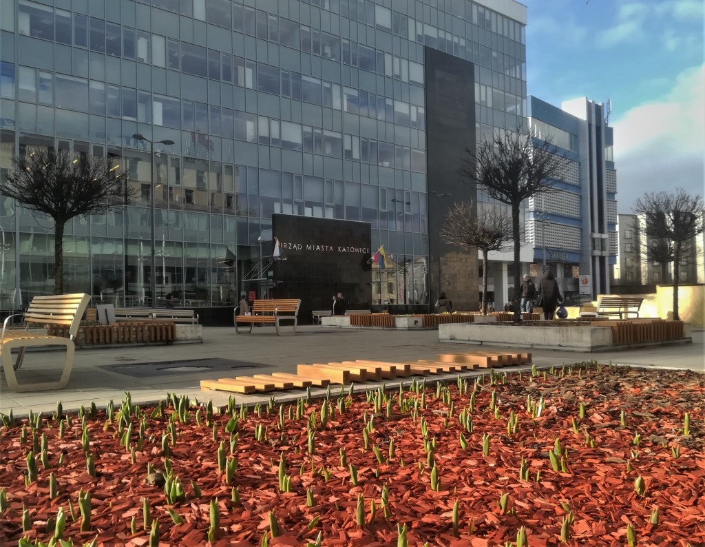 Dzień dobry Katowice. Można dostać karę za brak segregacji śmieci