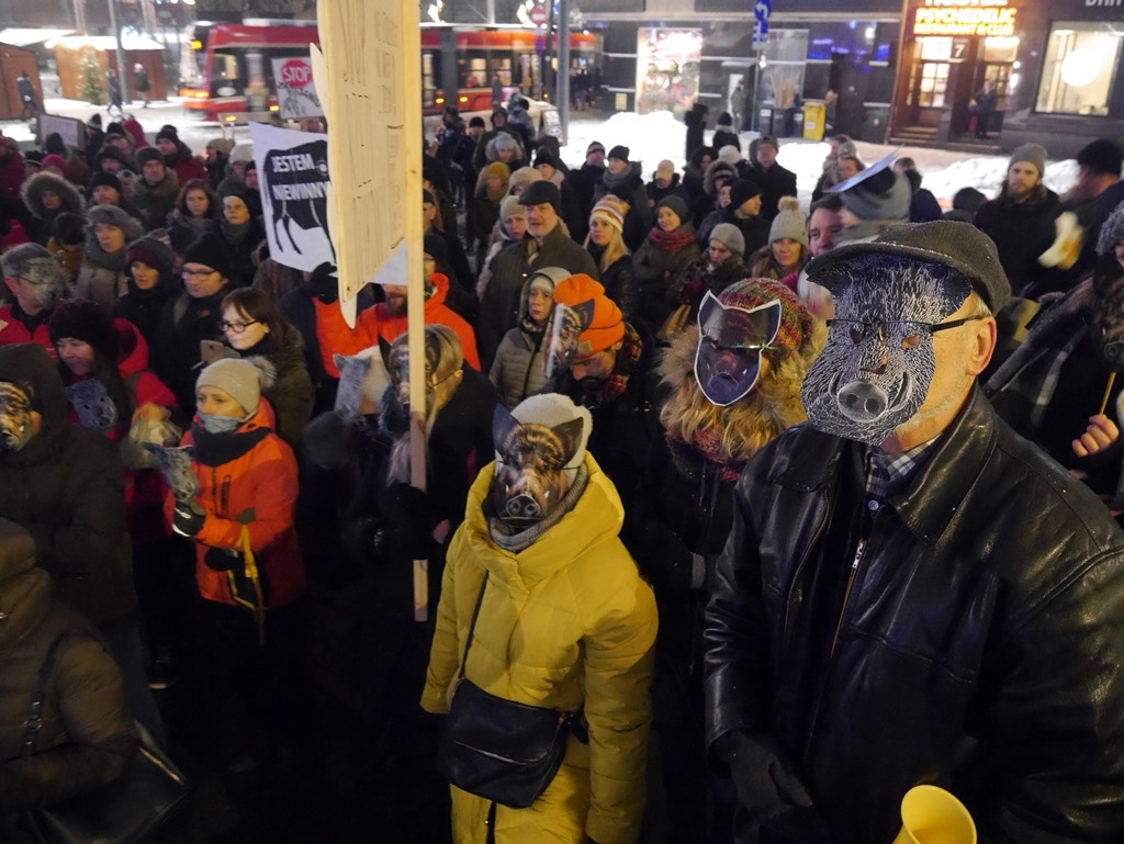 Dzień dobry Katowice. Dzisiaj na Rynku manifestacja w obronie dzików