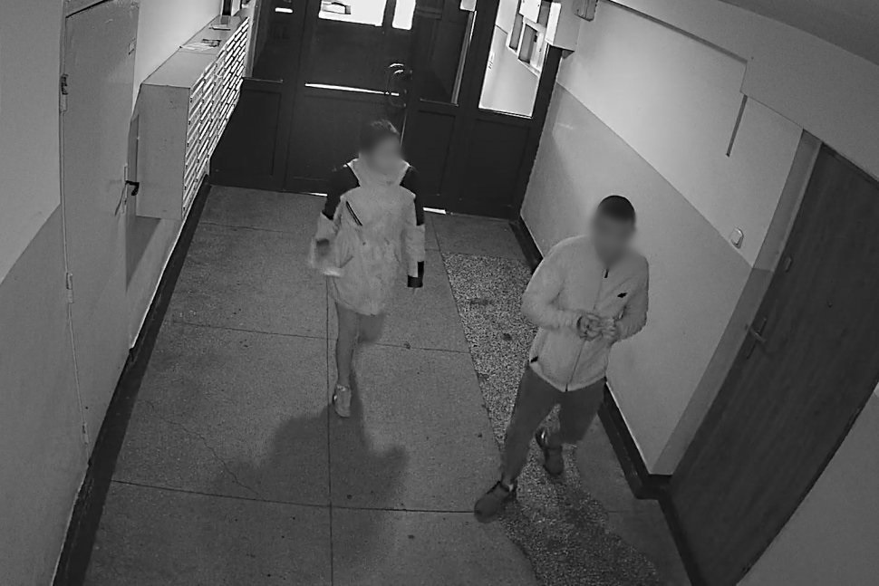 Ukradli torebkę, a internauci pomogli policji ich znaleźć