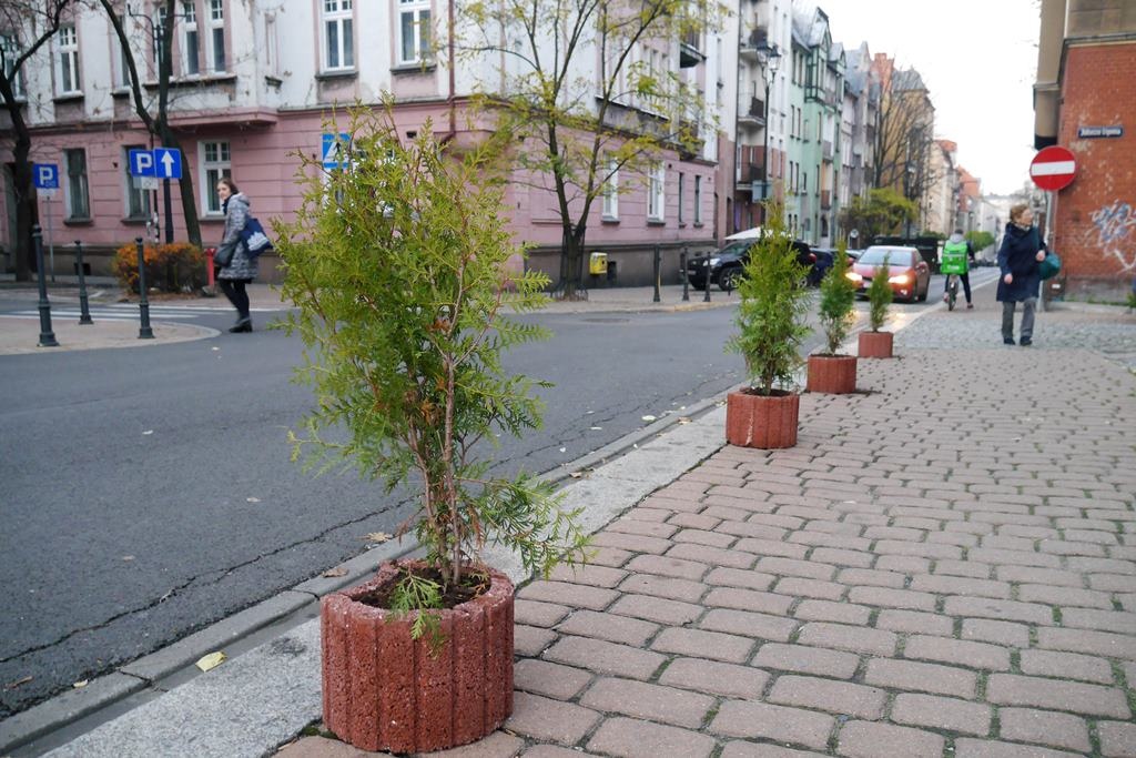 Rośliny bronią kolejnego chodnika przed samochodami. Gazony pojawiły się na ulicy w centrum Katowic