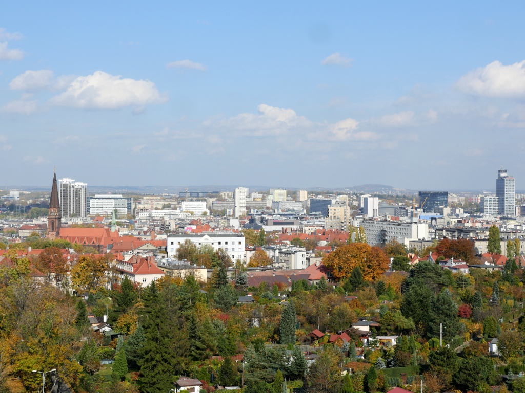 Dzień dobry Katowice. Mandaty za złe parkowanie na jednej z ulic w centrum miasta