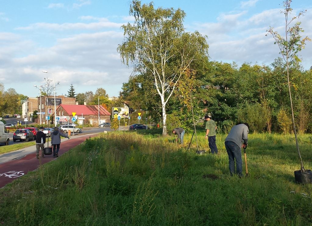 Awantura o park dla Dąbrówki Małej i Bogucic. Opozycja próbowała blokować uchwałę