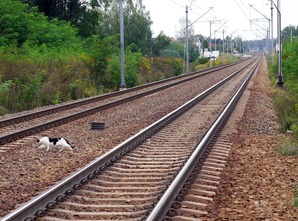 Utrudnienia na południu Katowic. Przejazd kolejowy został zamknięty