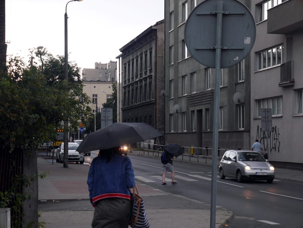 Dzień dobry Katowice. Dziś początek dużej akcji sadzenia drzew