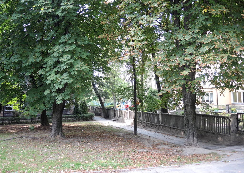 Przedszkolu i szkole na Koszutce potrzebny jest parking. Żeby go zrobić, trzeba wyciąć drzewa