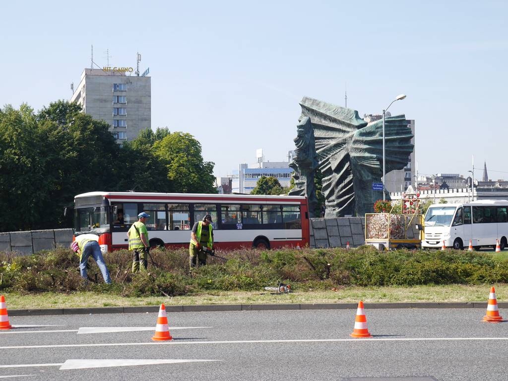 Trwa wycinanie zieleni przed defiladą wojskową