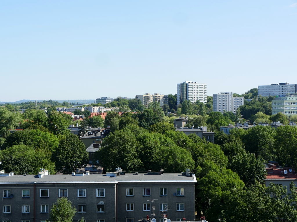 Dzień dobry Katowice. Rozpoczyna się wielka wycinka drzew przy torach
