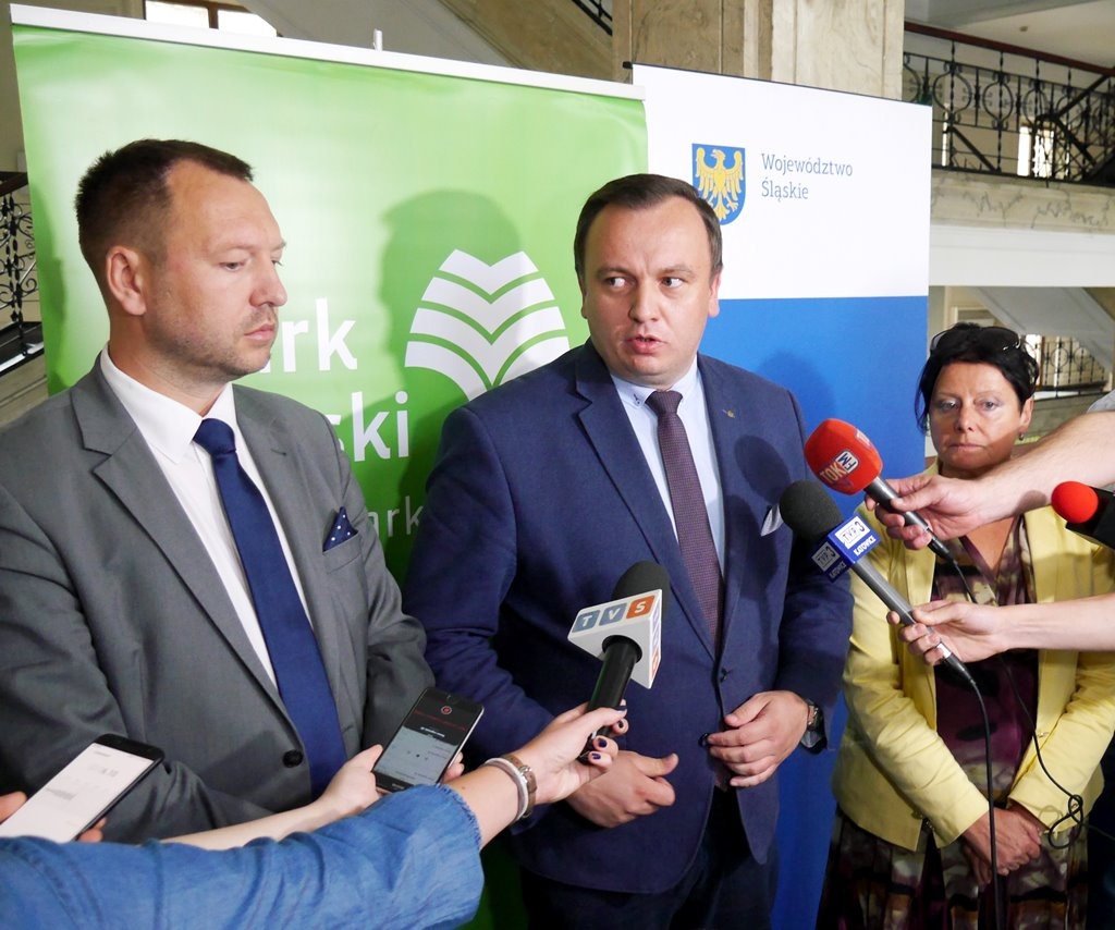 Wycinka przy Parku Śląskim. Marszałek chce iść na układ z deweloperami, ale Chorzów nie pomaga