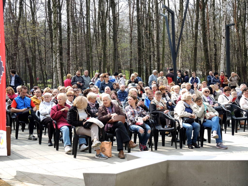 Fortepian na tężni. Ruszają darmowe koncerty w Parku Zadole