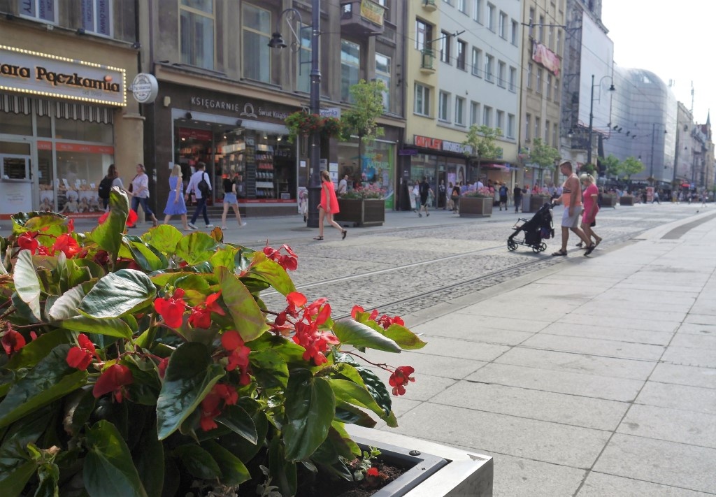 Dzień dobry Katowice. Rozwój walczy o przetrwanie
