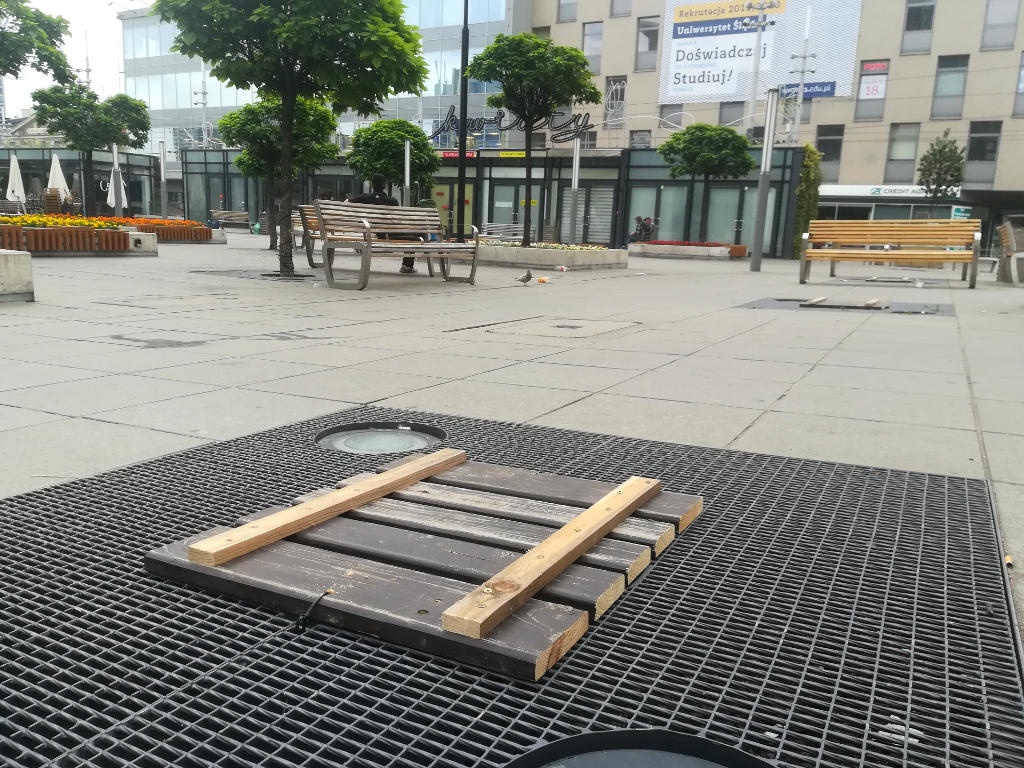 Coraz mniej drzew na Rynku. Kilka dni temu kolejne zostały wycięte