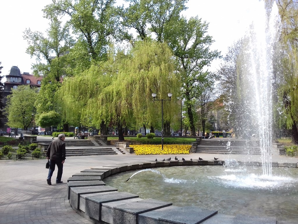 Dzień dobry Katowice. Kolejne drzewa w centrum miasta wycięte