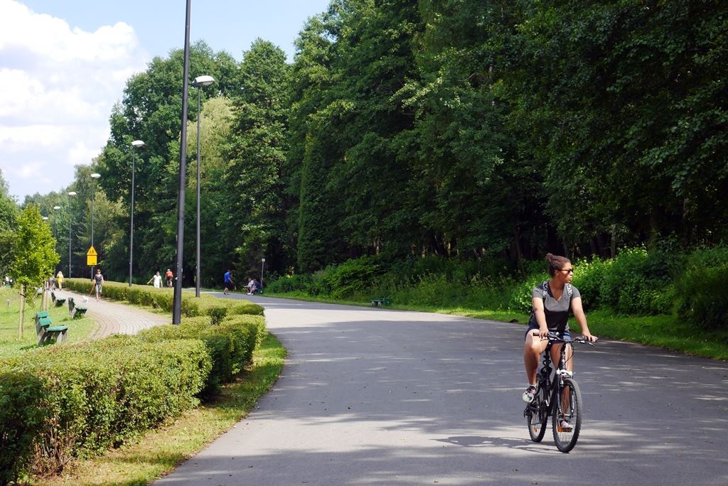 Dzień dobry Katowice. W urzędzie można obejrzeć projekt planu zagospodarowania Muchowca