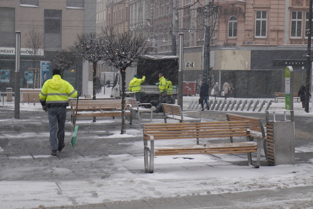 Dzień dobry Katowice. Dzisiaj protest w obronie dzików