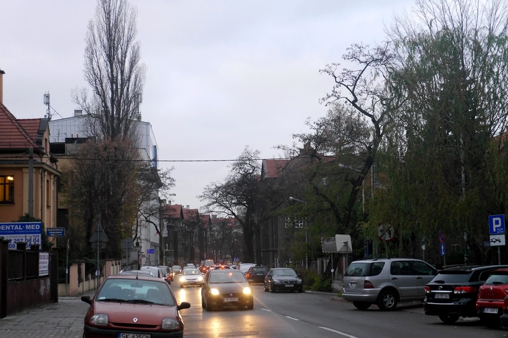 Do centrum Katowic wrócą drzewa. Nie w doniczkach