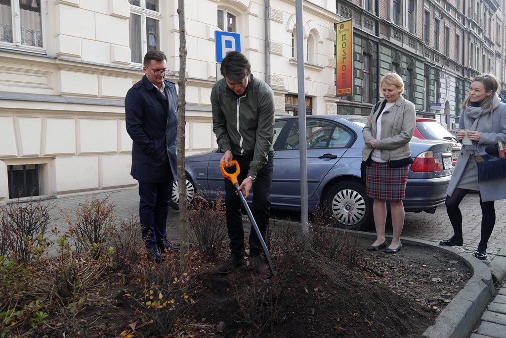 Pierwsze drzewo na szczyt klimatyczny wkopane. Każdy może posadzić swoje