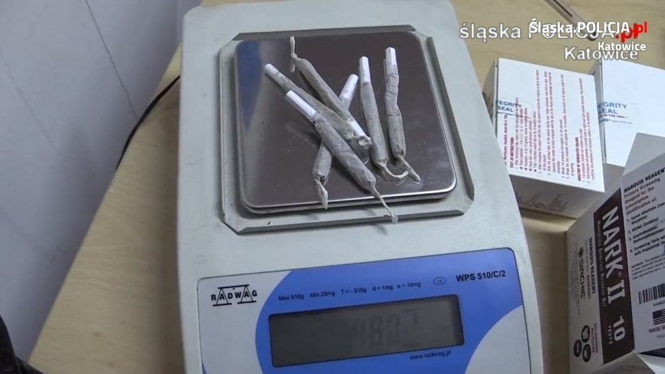 22 osoby zatrzymane za narkotyki w trakcie imprezy techno [WIDEO]