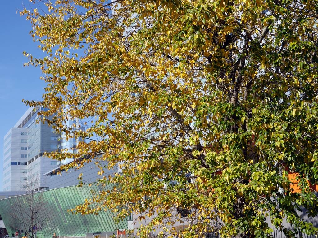 Dzień dobry Katowice. W ścisłym centrum Katowic stanie 17-piętrowy budynek mieszkalny