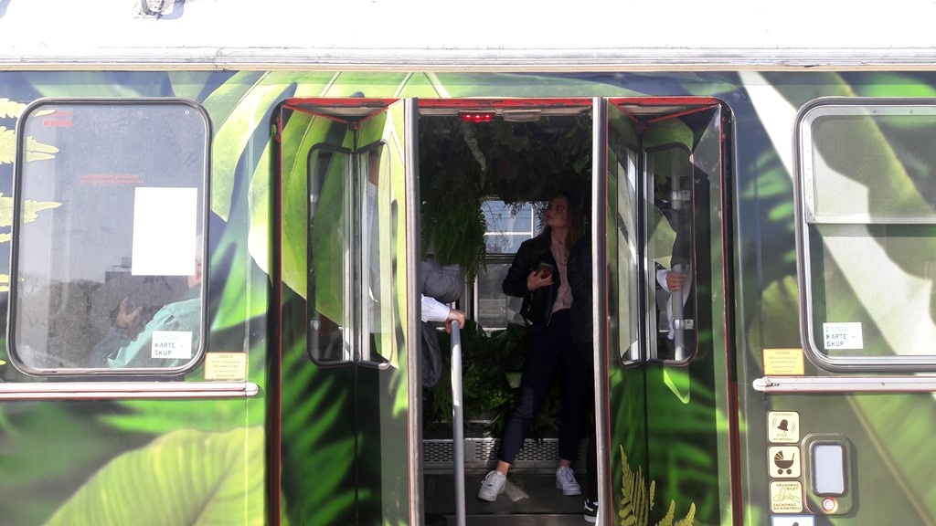Dżungla w tramwaju. Każdy pasażer dostanie maseczkę antysmogową
