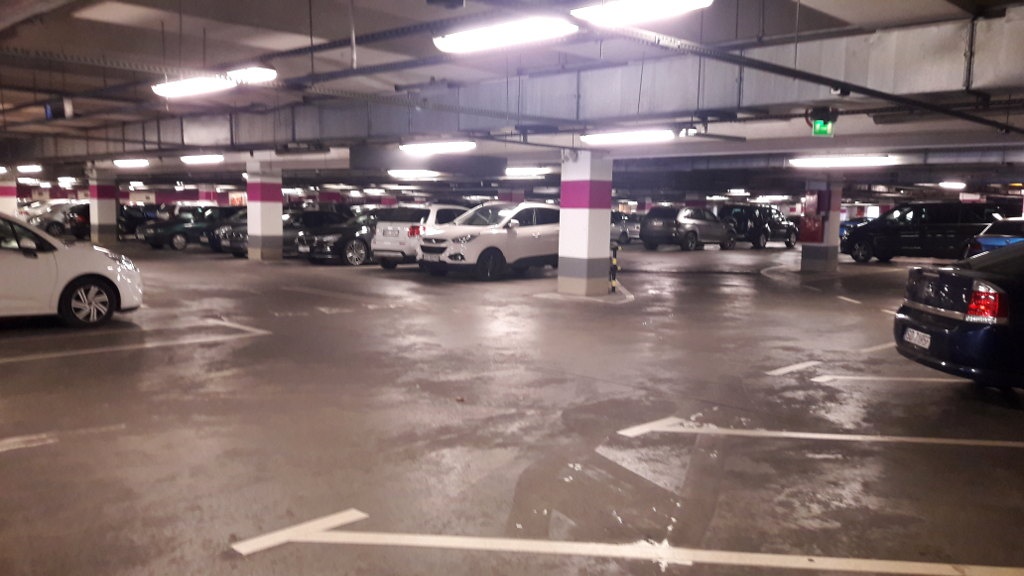 Martwy pies na parkingu Silesia City Center