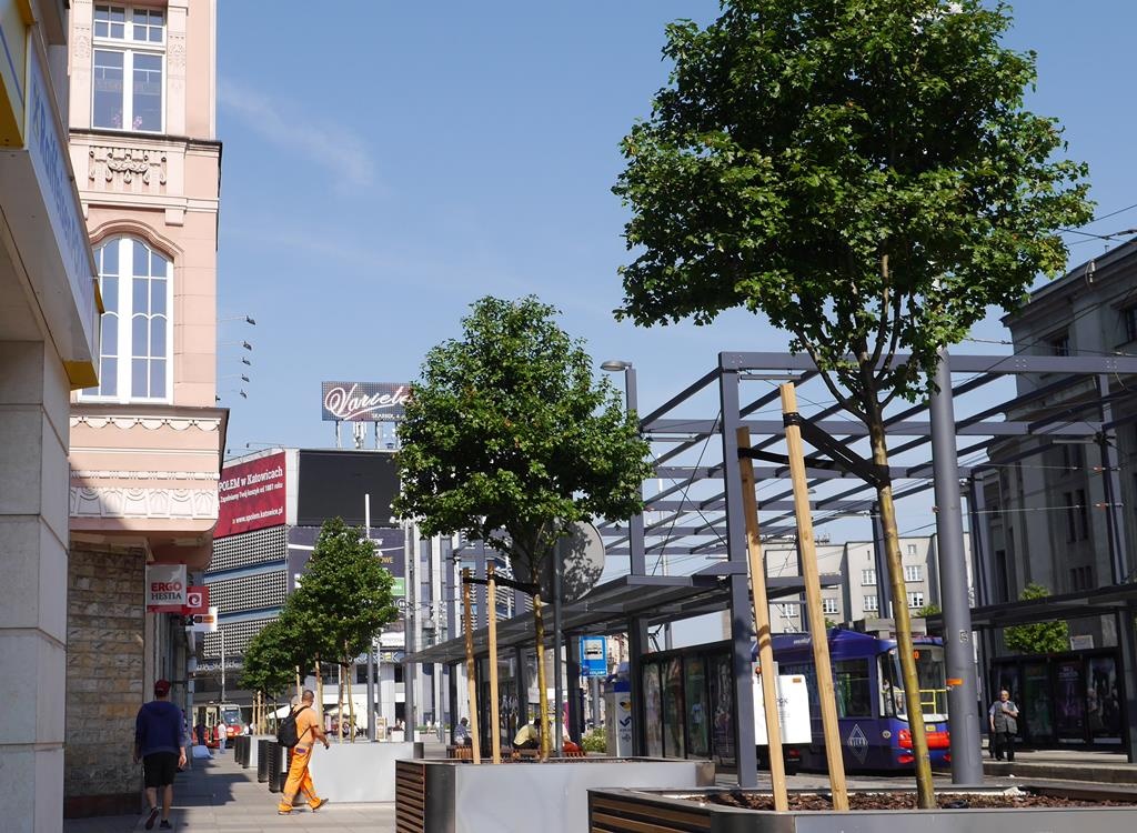 Dzień dobry Katowice. Dzisiaj znowu będzie upalnie