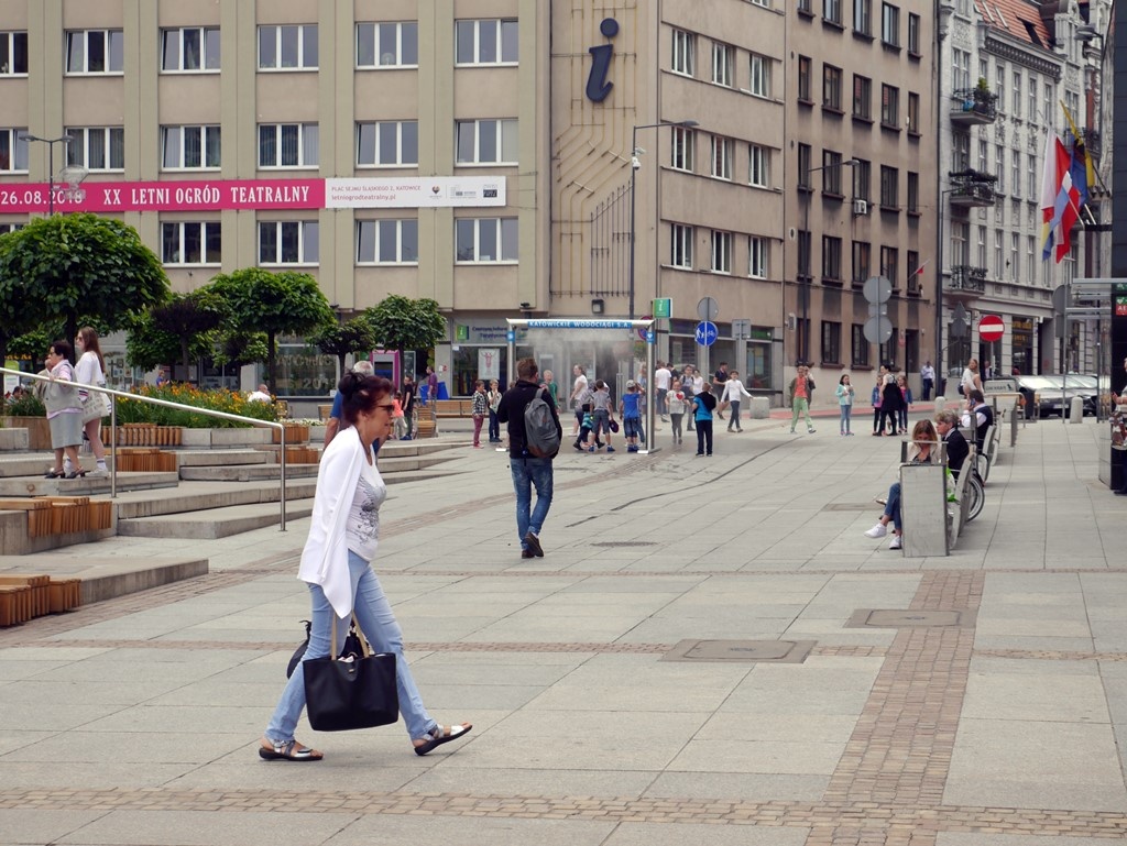 Dzień dobry Katowice. Na Rynku usychają drzewa