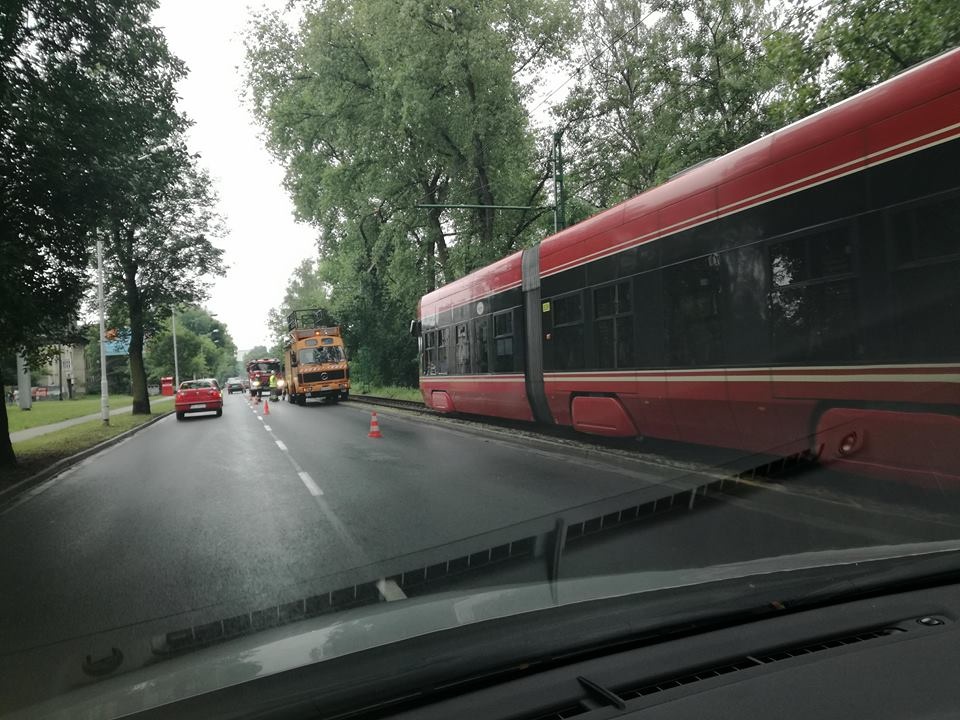 Drzewo spadło na trakcję. Nie kursują tramwaje