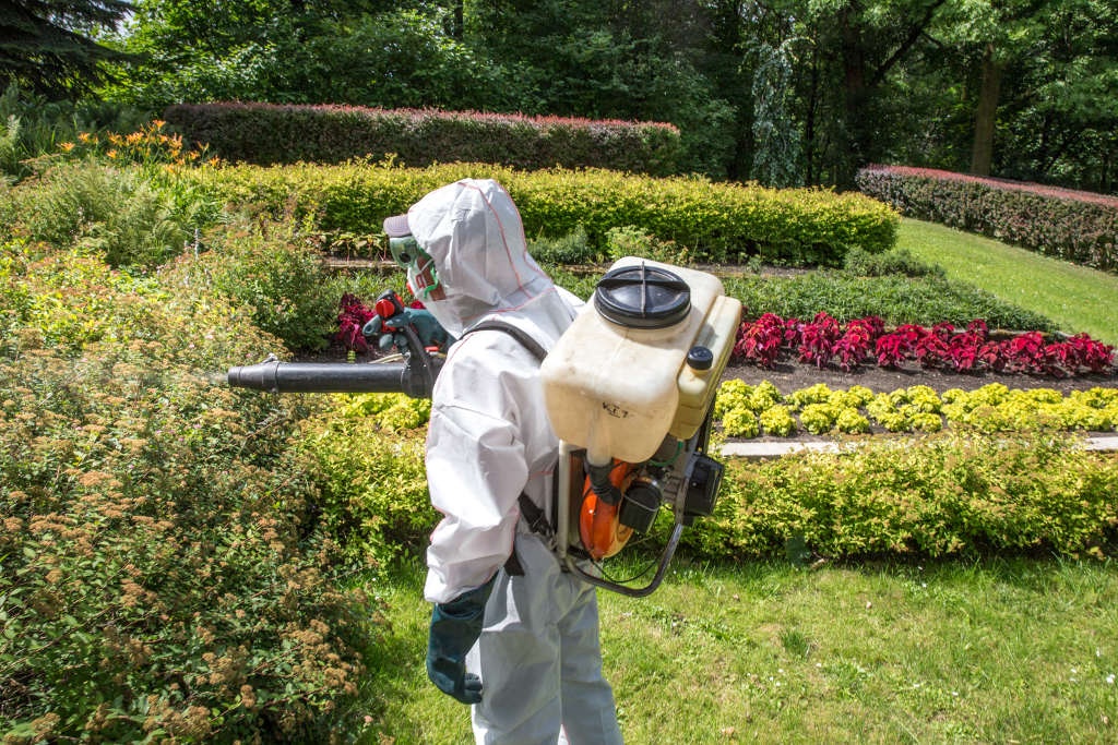 W Katowicach będą opryski na kleszcze i komary