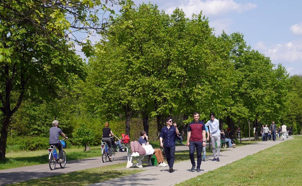 Dzień dobry Katowice. Dzisiaj Sztauwajery wracają na Dolinę Trzech Stawów
