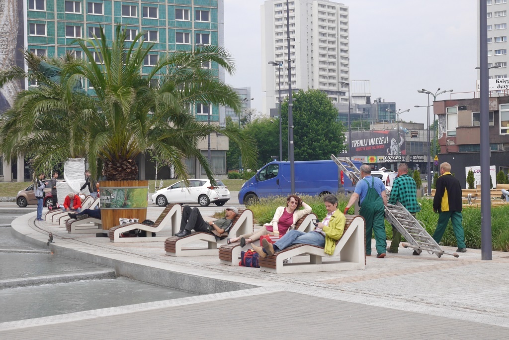 Palmy wróciły do centrum Katowic