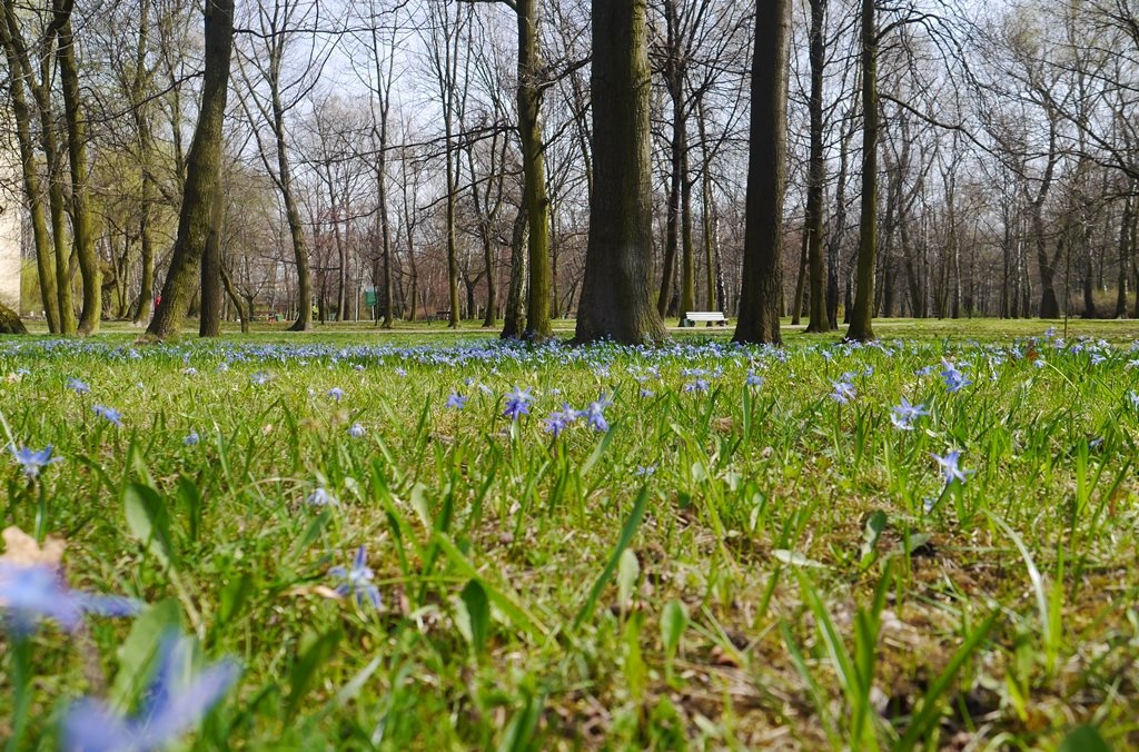 Dzień dobry Katowice. Na jednej z ulic w centrum kierowcy parkują nielegalnie