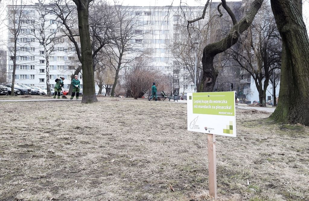 Dzień dobry Katowice. Dzisiaj inauguracja akcji 