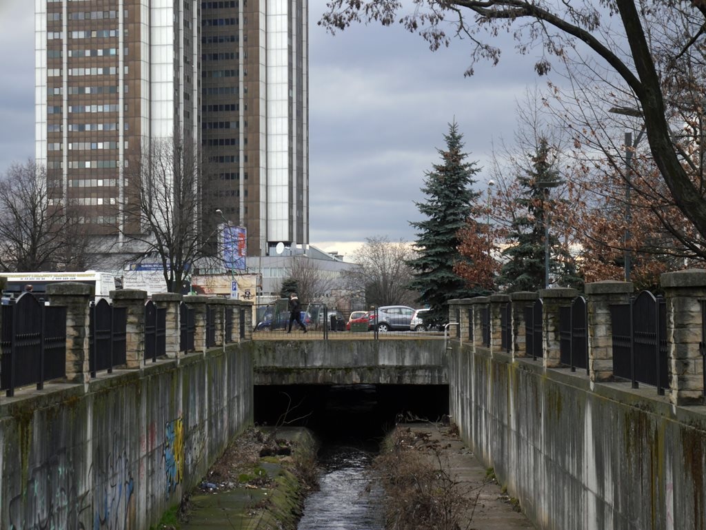 Dzień dobry Katowice. Trwa wielkie czyszczenie Rawy