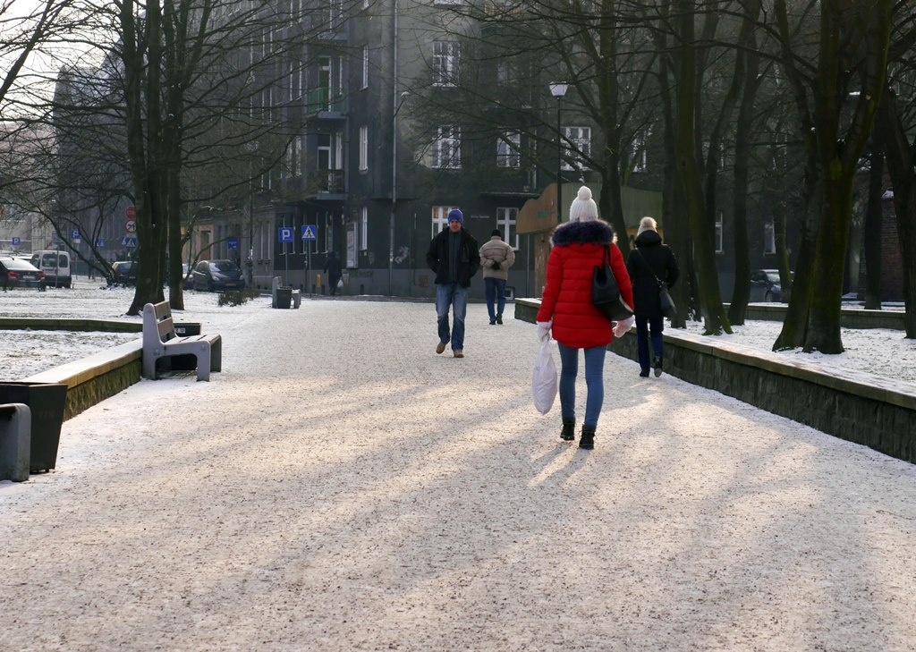 Dzień dobry Katowice. Dzisiaj sesja rady miasta