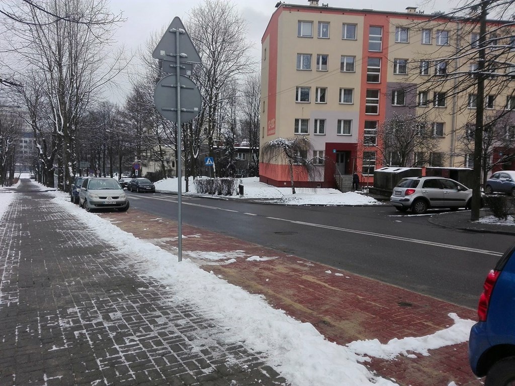 Miasto posadzi drzewa, ale nie tam, gdzie chcą mieszkańcy