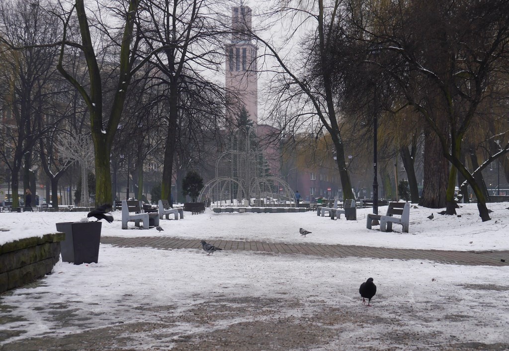 Dzień dobry Katowice. Dziś lekki mróz