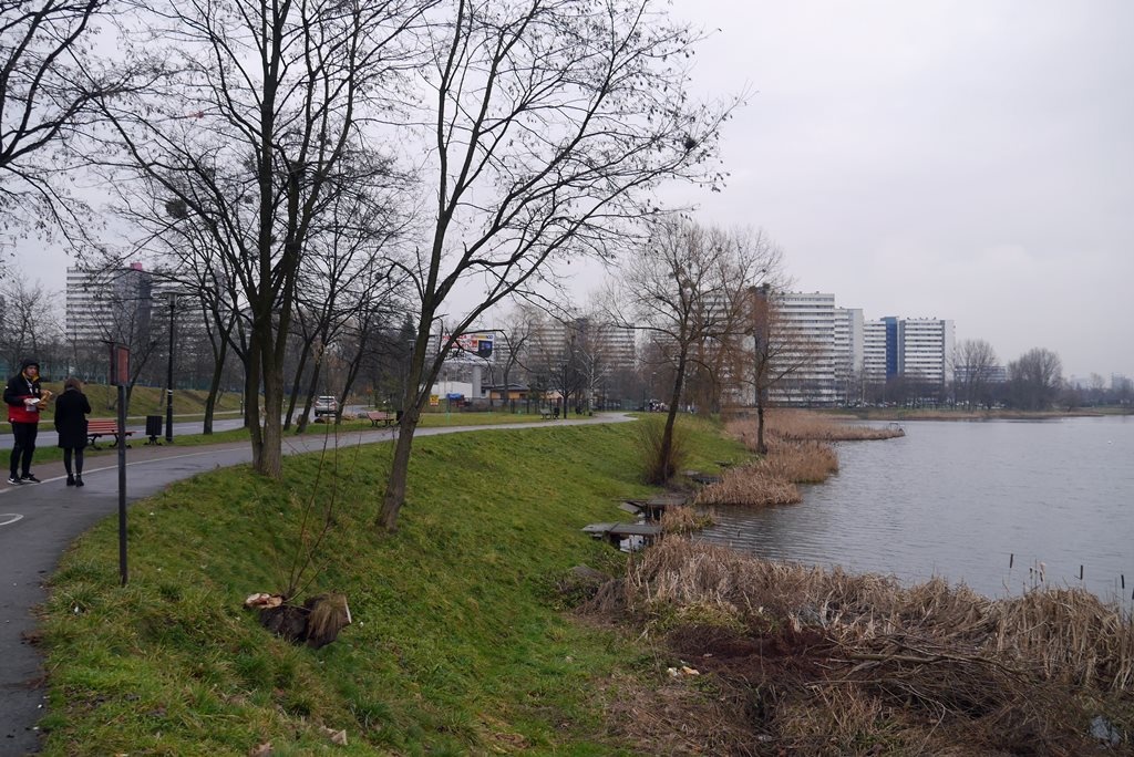 Radni z os. Tysiąclecia nie chcą inwestycji na stawie Maroko, ale miasto planów nie zmieni