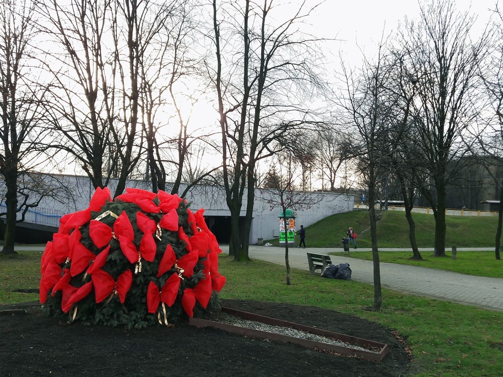 Dzień dobry Katowice. Kolejna sportowa impreza w mieście