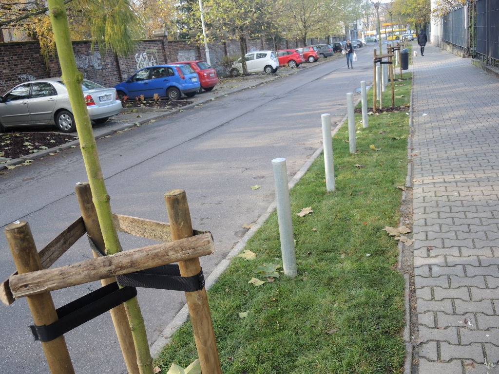 Koniec z nielegalnym parkowaniem przy Pałacu Młodzieży