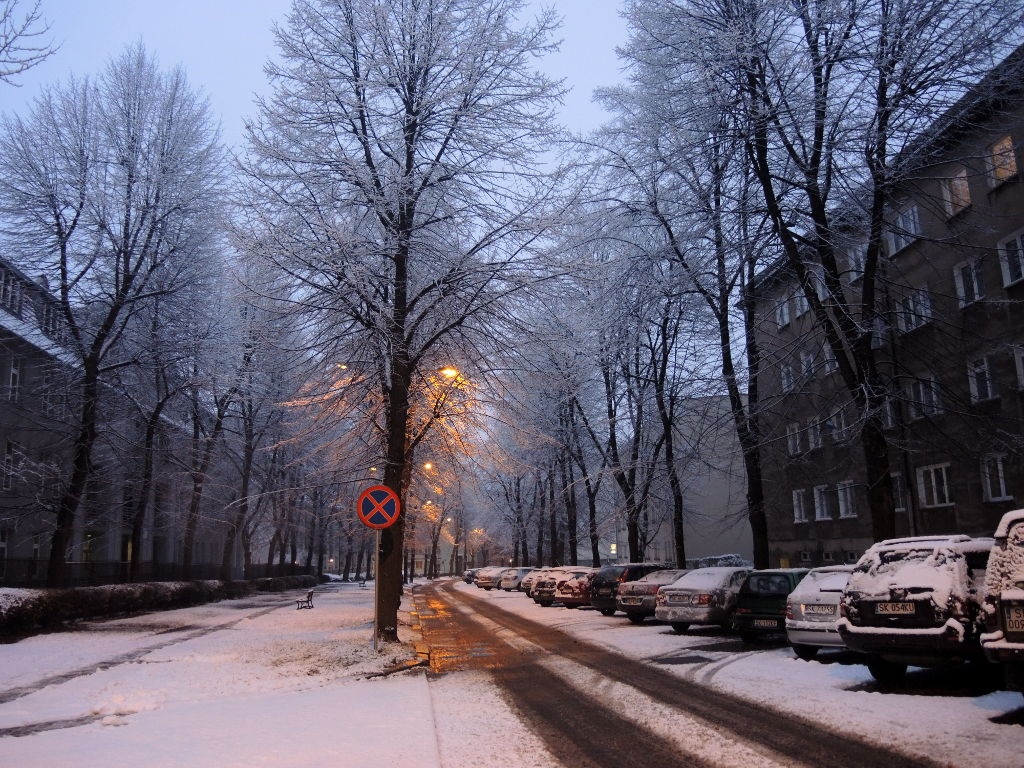 Dzień dobry Katowice. O poranku Katowice były białe