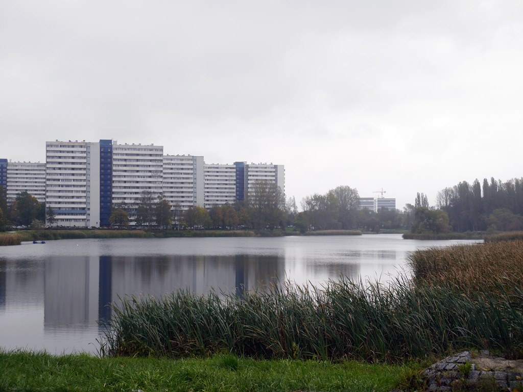 Dzień dobry Katowice. Miasto wyda ponad 1,5 mln zł na staw na os. Tysiąclecia