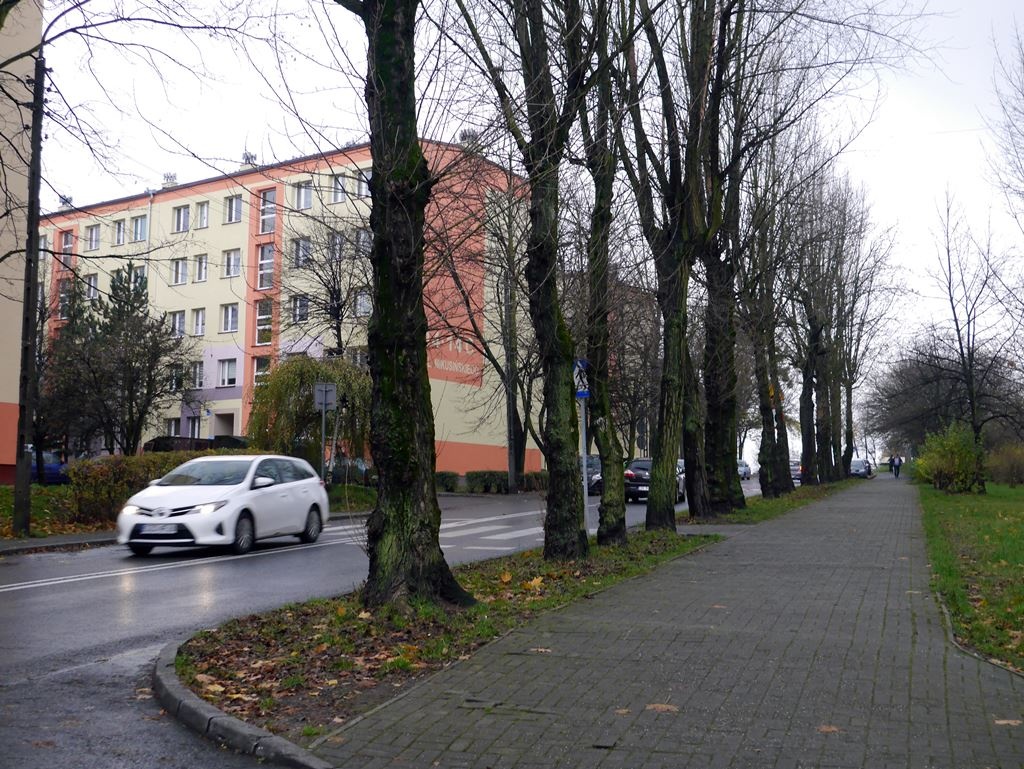 Jedni mieszkańcy chcą parkingu, a inni drzew. Będzie wycinka na północy Katowic