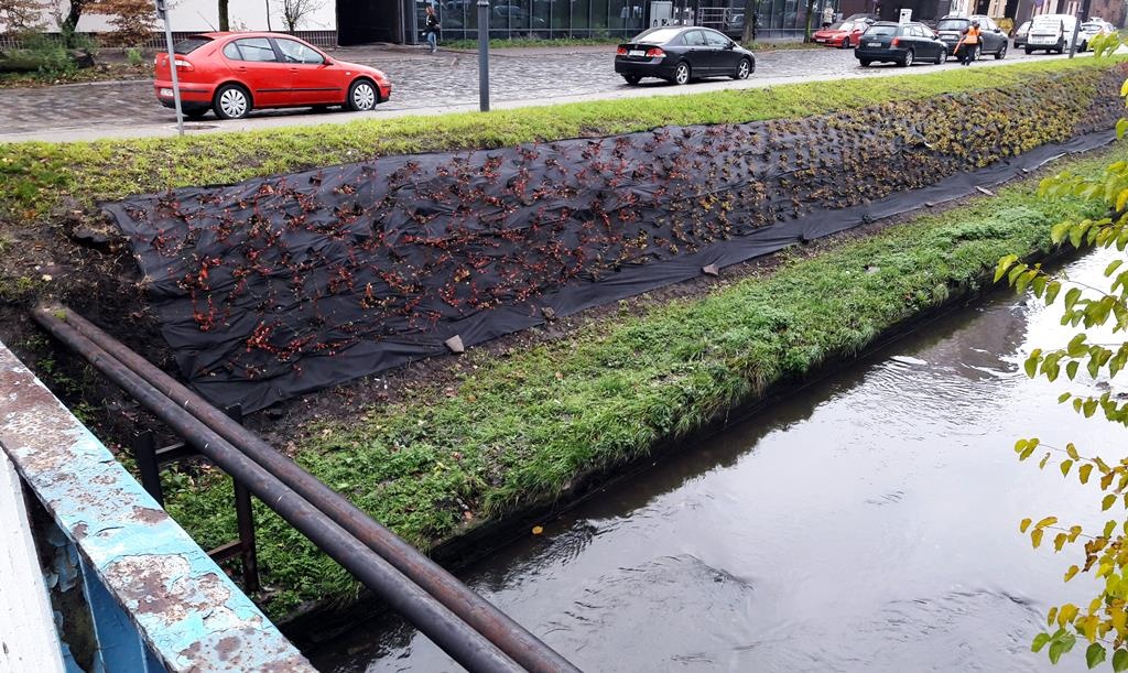 Dzień dobry Katowice. Miasto ozdabia brzegi Rawy